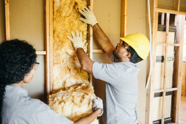 Best Best Insulation Companies  in Venice, IL