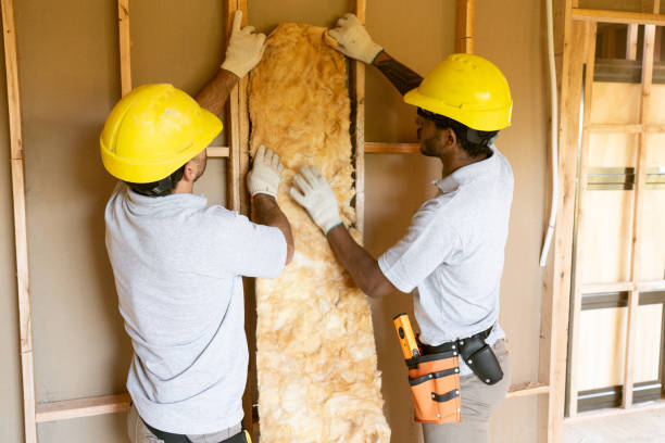 Best Wall Insulation Contractor  in Venice, IL