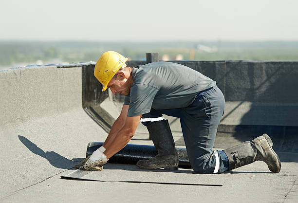 Best Home Insulation Services  in Venice, IL