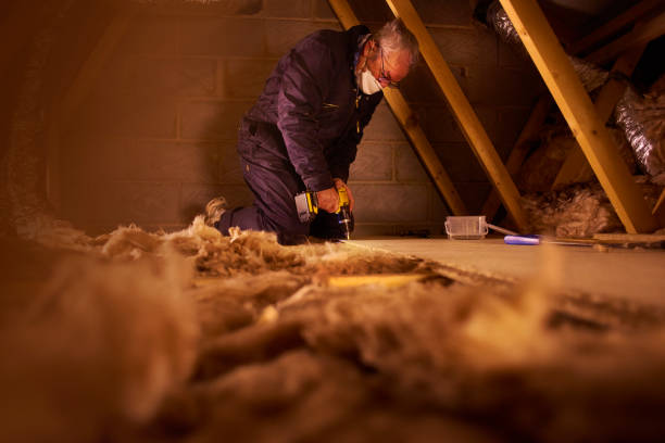 Best Professional Insulation Contractor  in Venice, IL