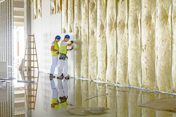 Best Attic Insulation Installation  in Venice, IL
